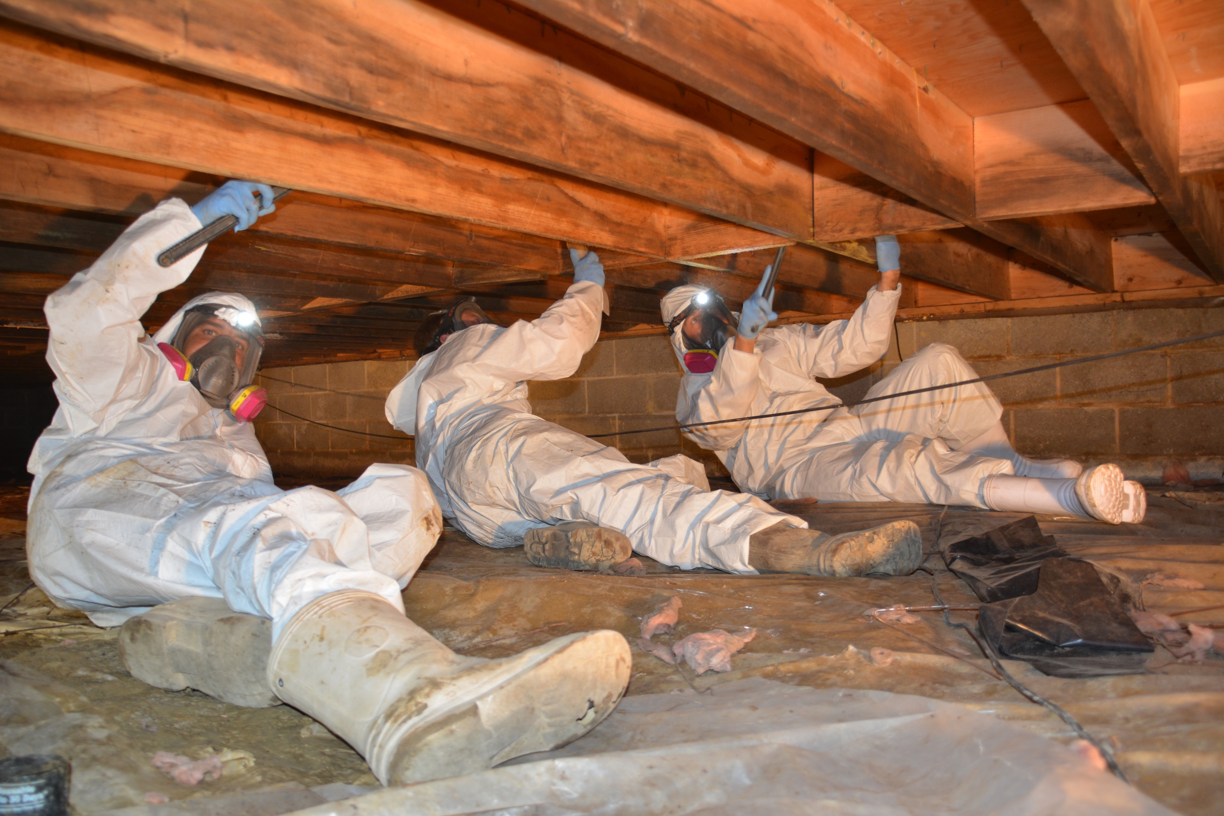 The Best Solutions for Crawl Space Moisture Control