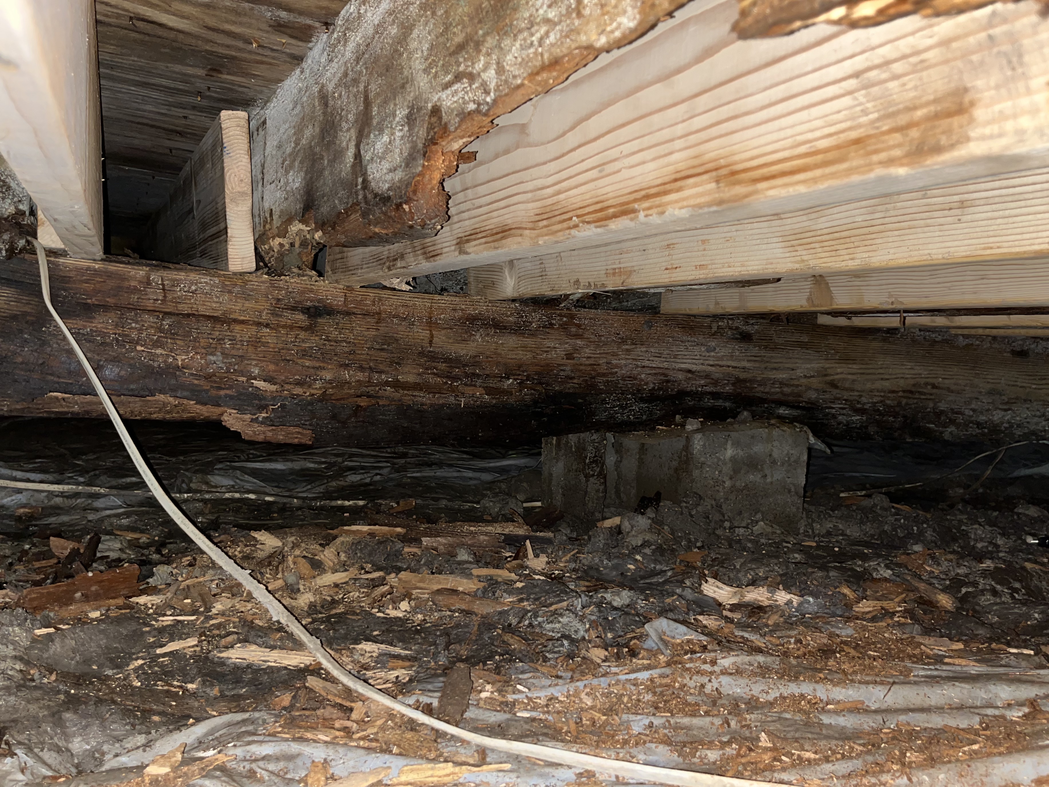 What Homeowners Should Understand About Wood Rot blog header image
