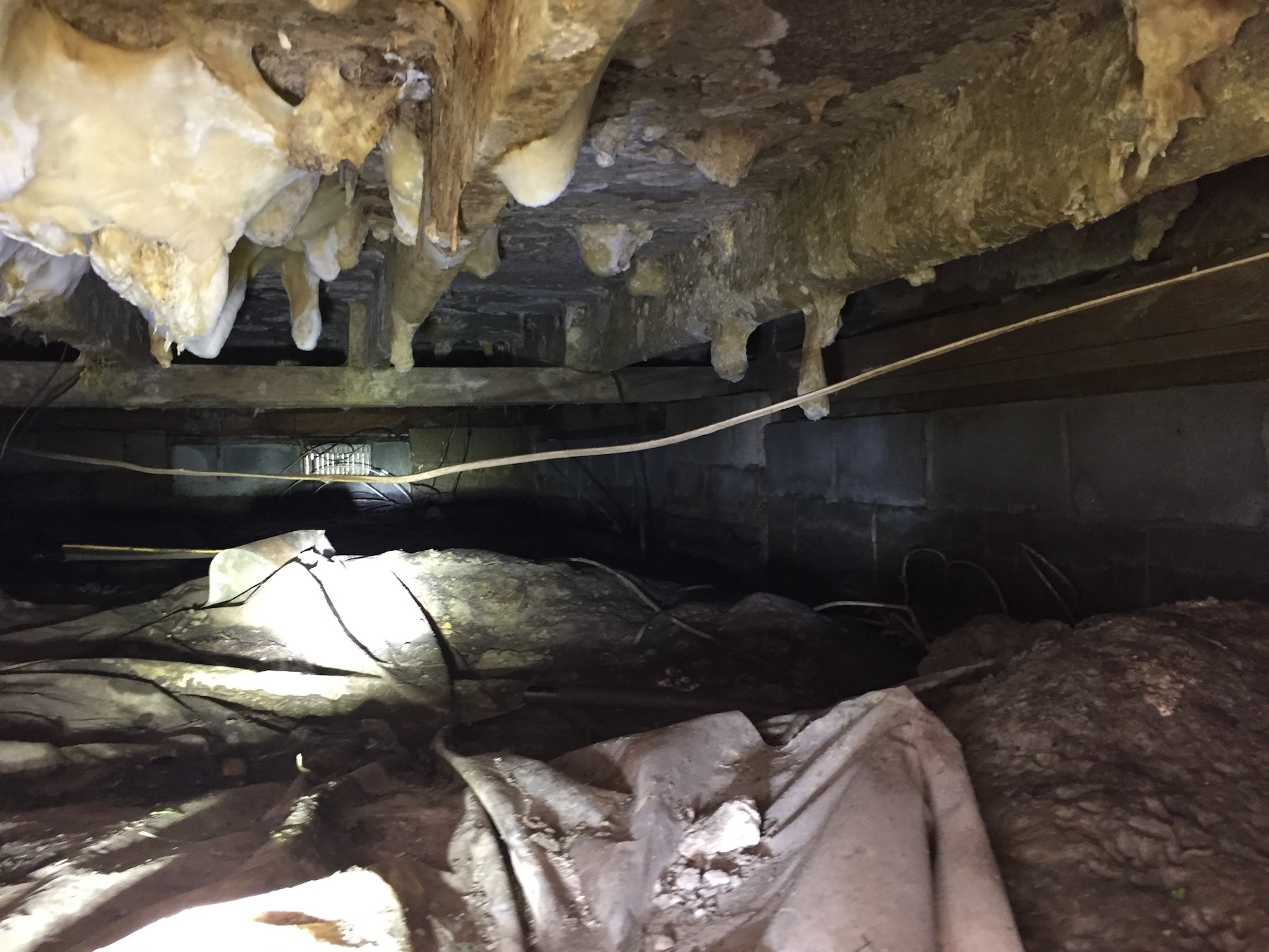 Mold in crawlspace of Maryland home