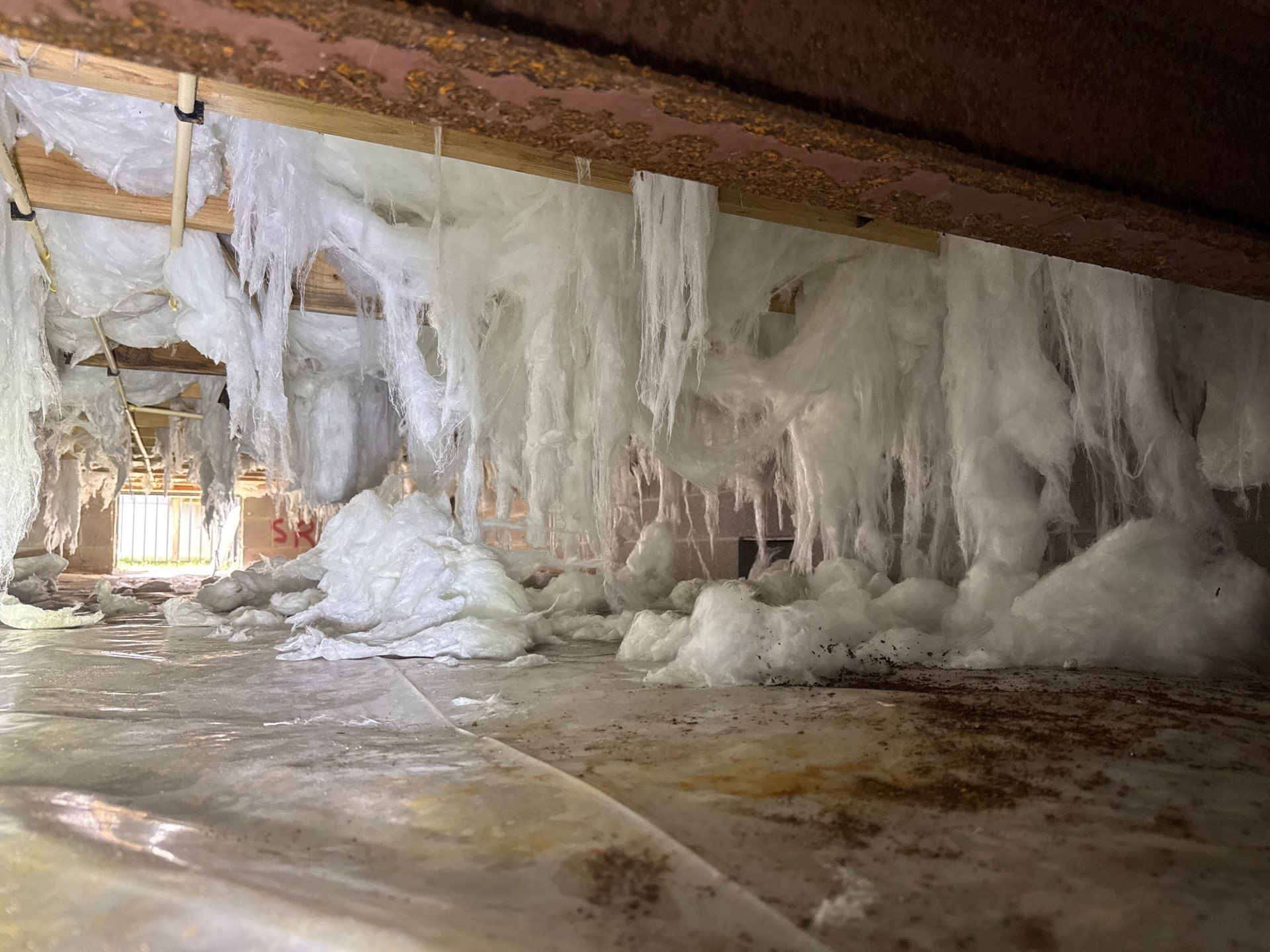 Why Is Your Crawl Space Sweating? Understanding Moisture & Humidity on the Eastern Shore header image
