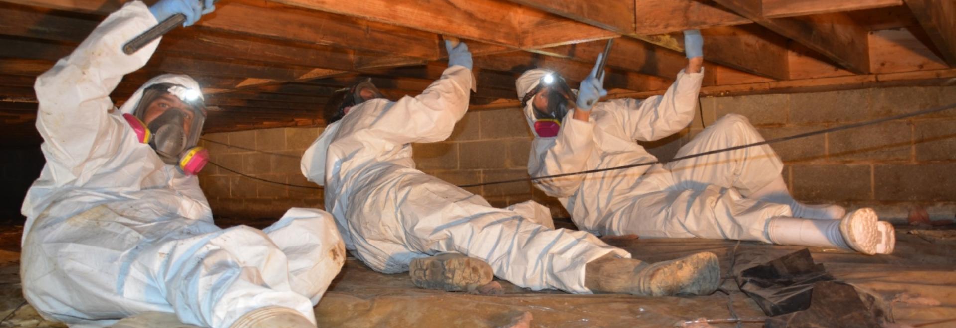 Technicians installing insulation in crawlspace under home
