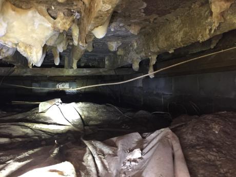 Mold in crawlspace of Maryland home